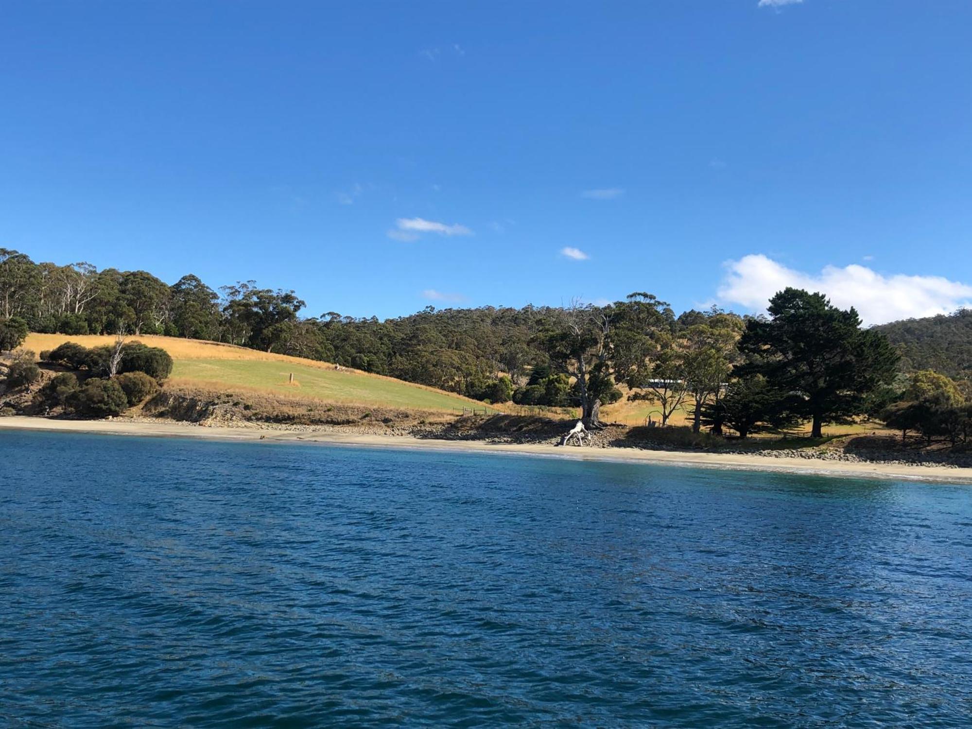 The Woolshed And Farmhouse Blue, Bruny Island Barnes Bay Exteriér fotografie